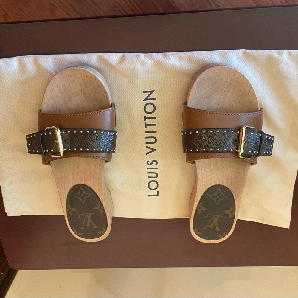 Louis Vuitton Brown and Black Mules